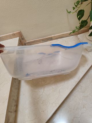 Bañera bebé transparente