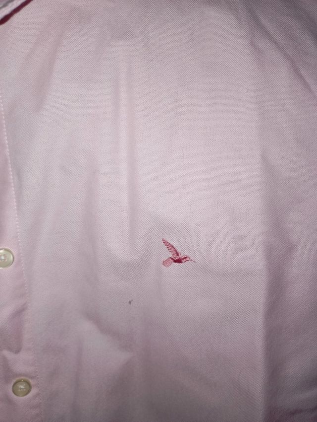 Camisas chica varios modelos