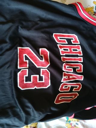 Camiseta Chicago Bulls #23