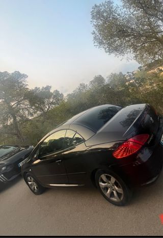 Peugeot 307 2006 etiqueta C