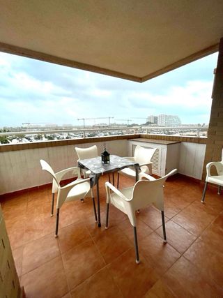 Apartamento 3 dormitorios - Alquiler