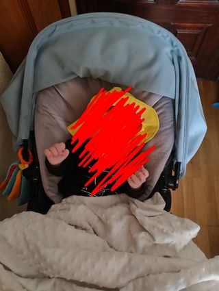 Bugaboo 2: capazo y silla