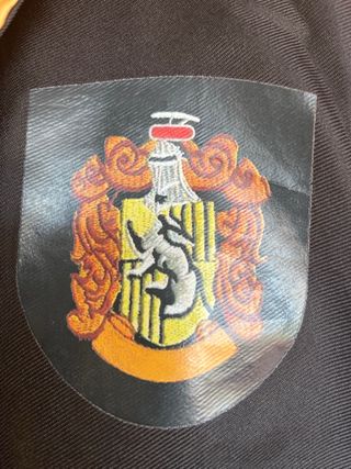 Capa Harry Potter + Corbata