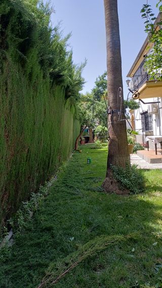 Jardinero a domicilio 