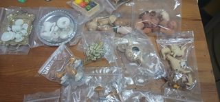 Casa Muñecas Miniatura