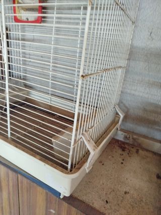 Jaula pajaros blanca