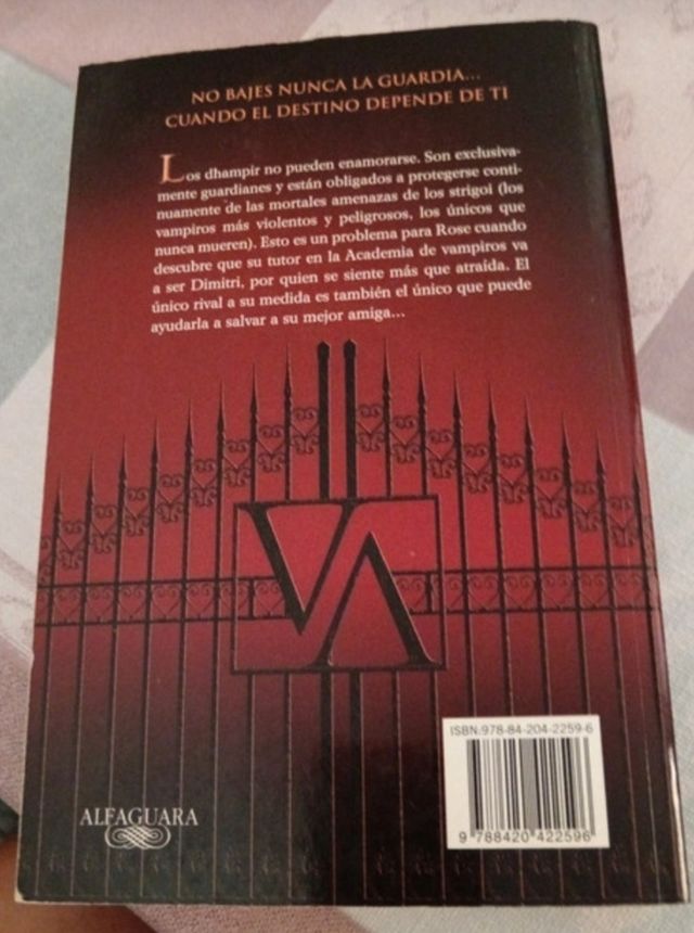 Vampire Academy (Vampire Academy 1)