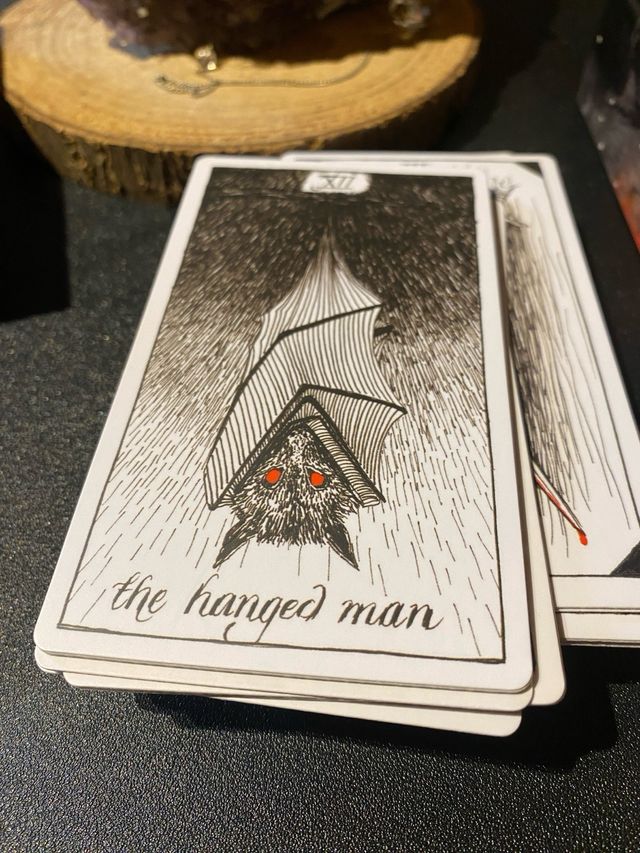 Tarot Wild Unknown: Libro e mazzo