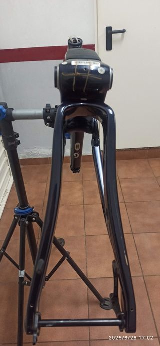 Cuadro Scott Spark carbono