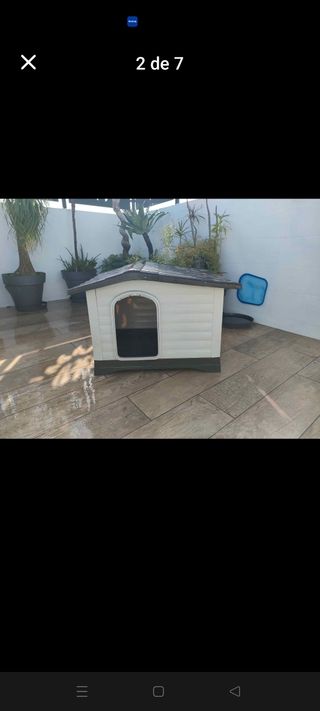 Casa perro exterior marrón-blanca