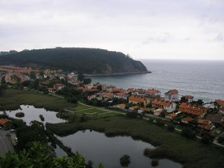 Olympus C-310 Zoom Cámara Digital