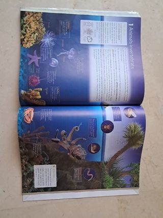 Libro 1 ESO Biologia i Geologia 1r ESO