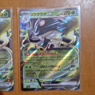 2x Toedscruel EX en inglés y japonés
