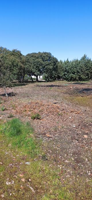 Tierra de relleno - Jardin