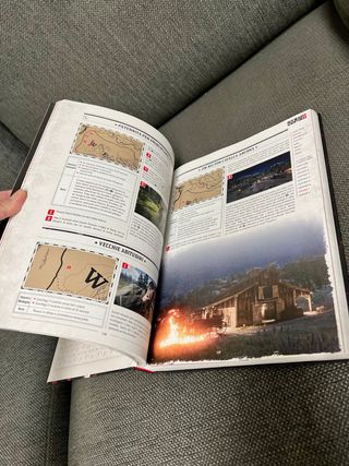 Guida Red Dead Redemption 2 Collector's
