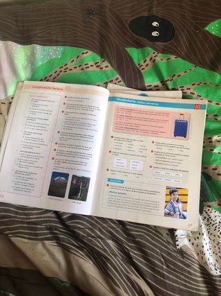 LENGUA 5 DE PRIMARIA SABER HACER CONTIGO