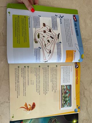 Ciencias da Natureza 4º Primaria (Galicia)