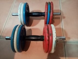 Barra gimnasio - Par de Mancuernas y disco