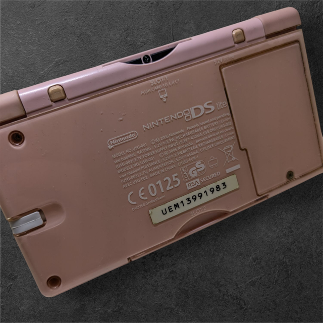 Nintendo DS Lite rosa + custodia