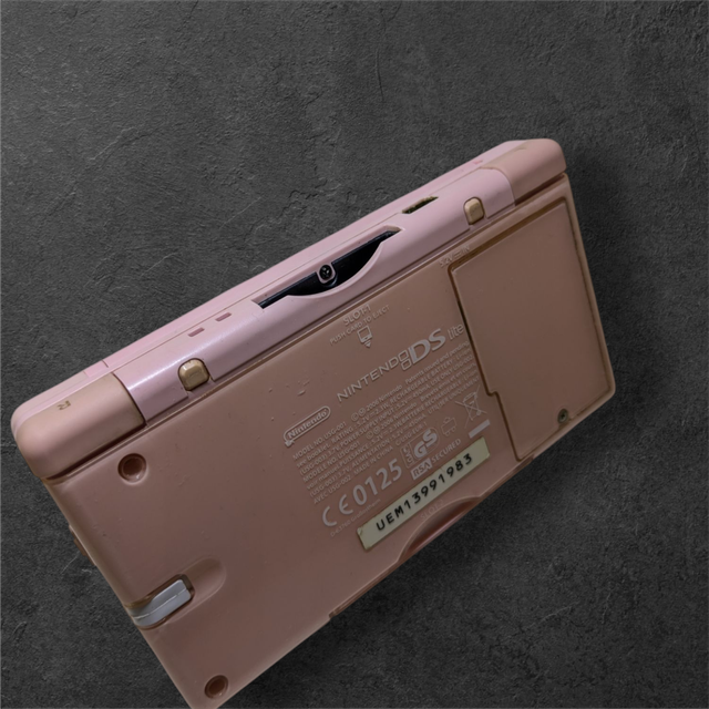 Nintendo DS Lite rosa + custodia
