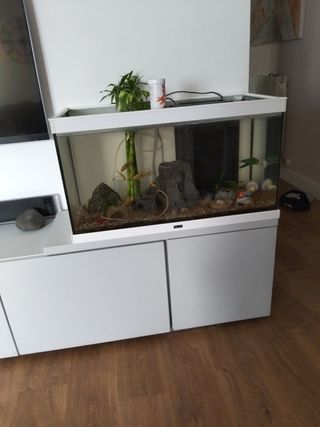 Acuario completo