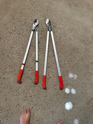 Pack herramientas poda: tijeras & sierras