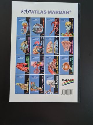 Podología. Atlas de Anatomía