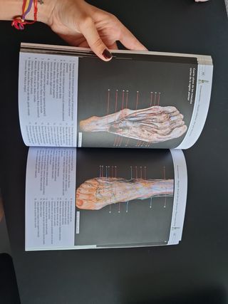 Podología. Atlas de Anatomía