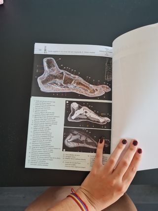 Podología. Atlas de Anatomía
