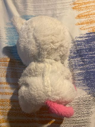 Bebé Llorón Gato