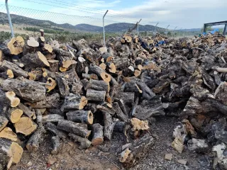 Leña de Oliva Cortada