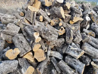 Leña de Oliva Cortada