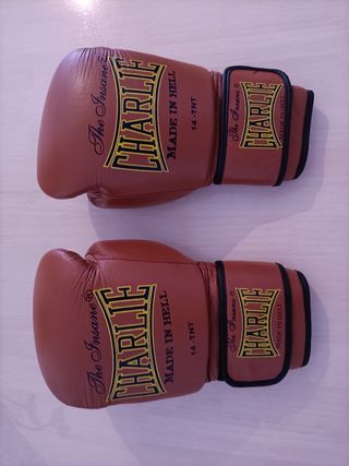 Guantes boxeo Charlie 14oz Marrón