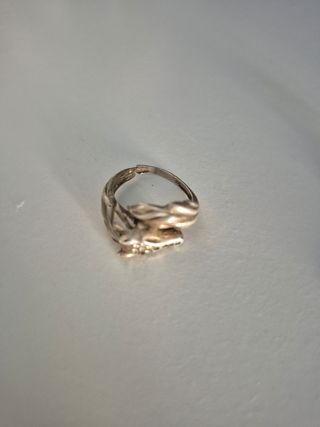 Joyas plata: pendientes & anillo