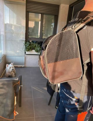 #Mochila transportín Trixie perros