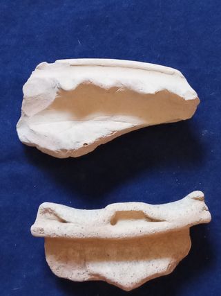 Fragmentos Cerámica Romana(borde o labio) decorado