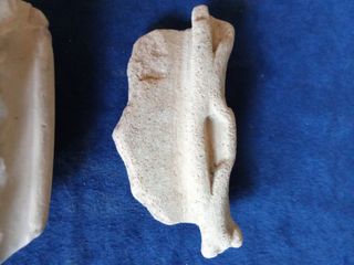 Fragmentos Cerámica Romana(borde o labio) decorado