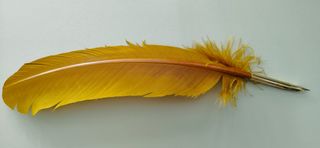 Pluma estilográfica natural, imitación antiguas