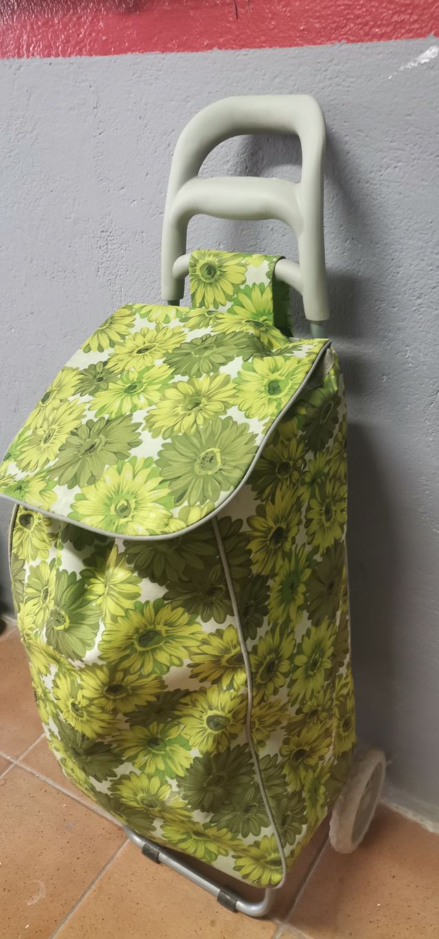 Carro para  la  compra, buen estado +regalo bolso 