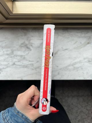 Harry Potter e la pietra filosofale vol. 1 (Ita...