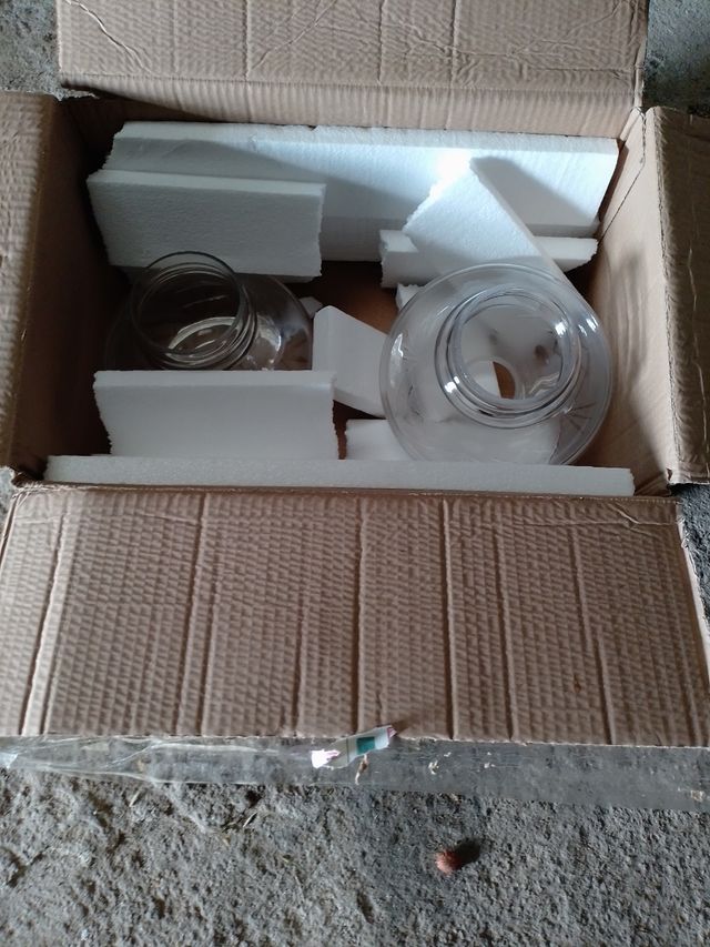 2 Tulipas de cristal