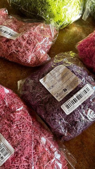 Musgo artificial decorativo 14 packs + regalo