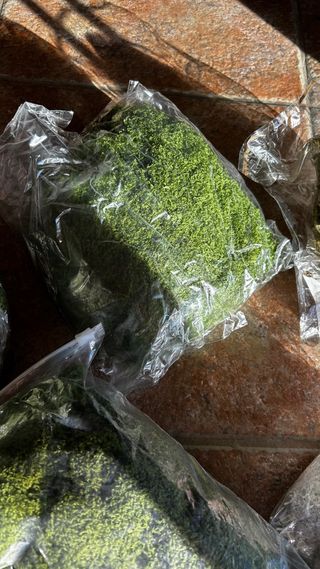 Musgo artificial decorativo 14 packs + regalo