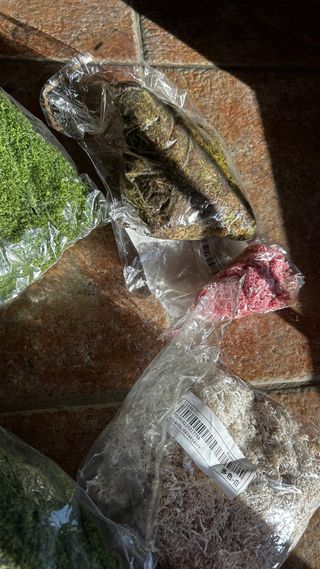 Musgo artificial decorativo 14 packs + regalo