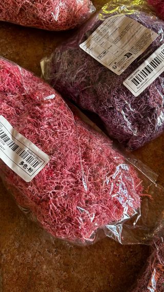 Musgo artificial decorativo 14 packs + regalo