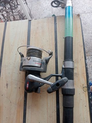 Caña y Carrete Pesca Siluro