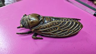 Mosca de bronce francesa