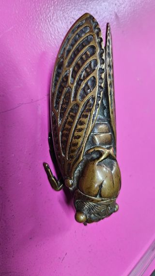 Mosca de bronce francesa