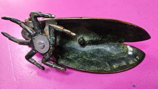 Mosca de bronce francesa