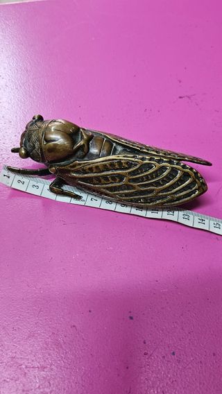 Mosca de bronce francesa